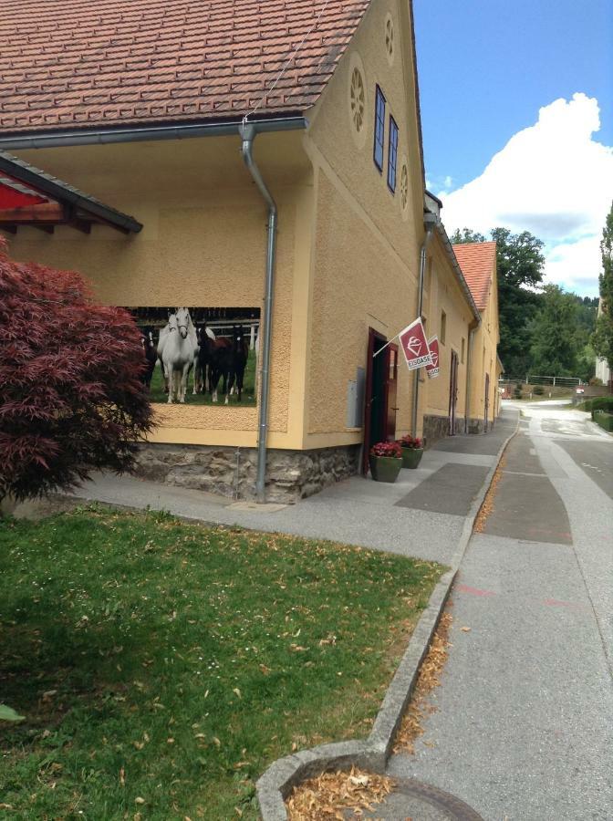 Weststeirische Ferienwohnung Piber 外观 照片