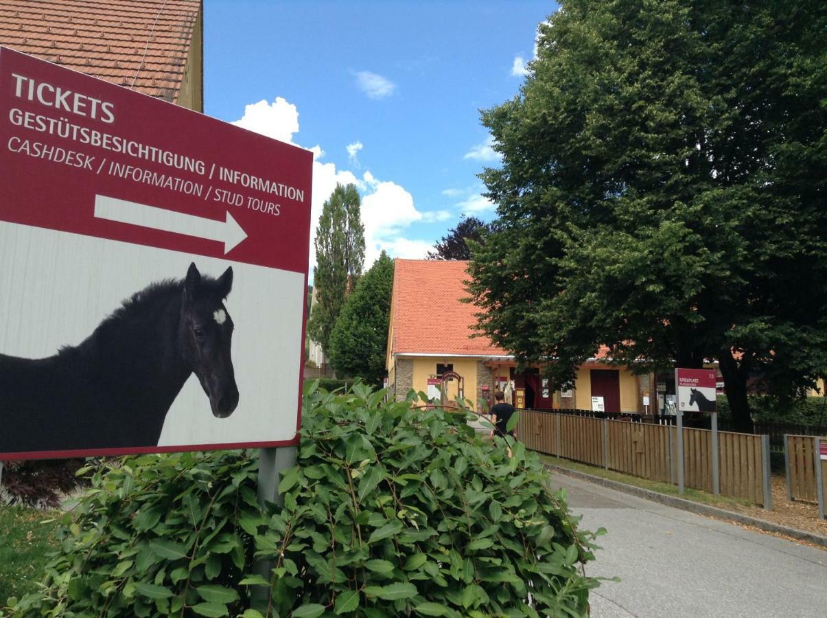 Weststeirische Ferienwohnung Piber 外观 照片